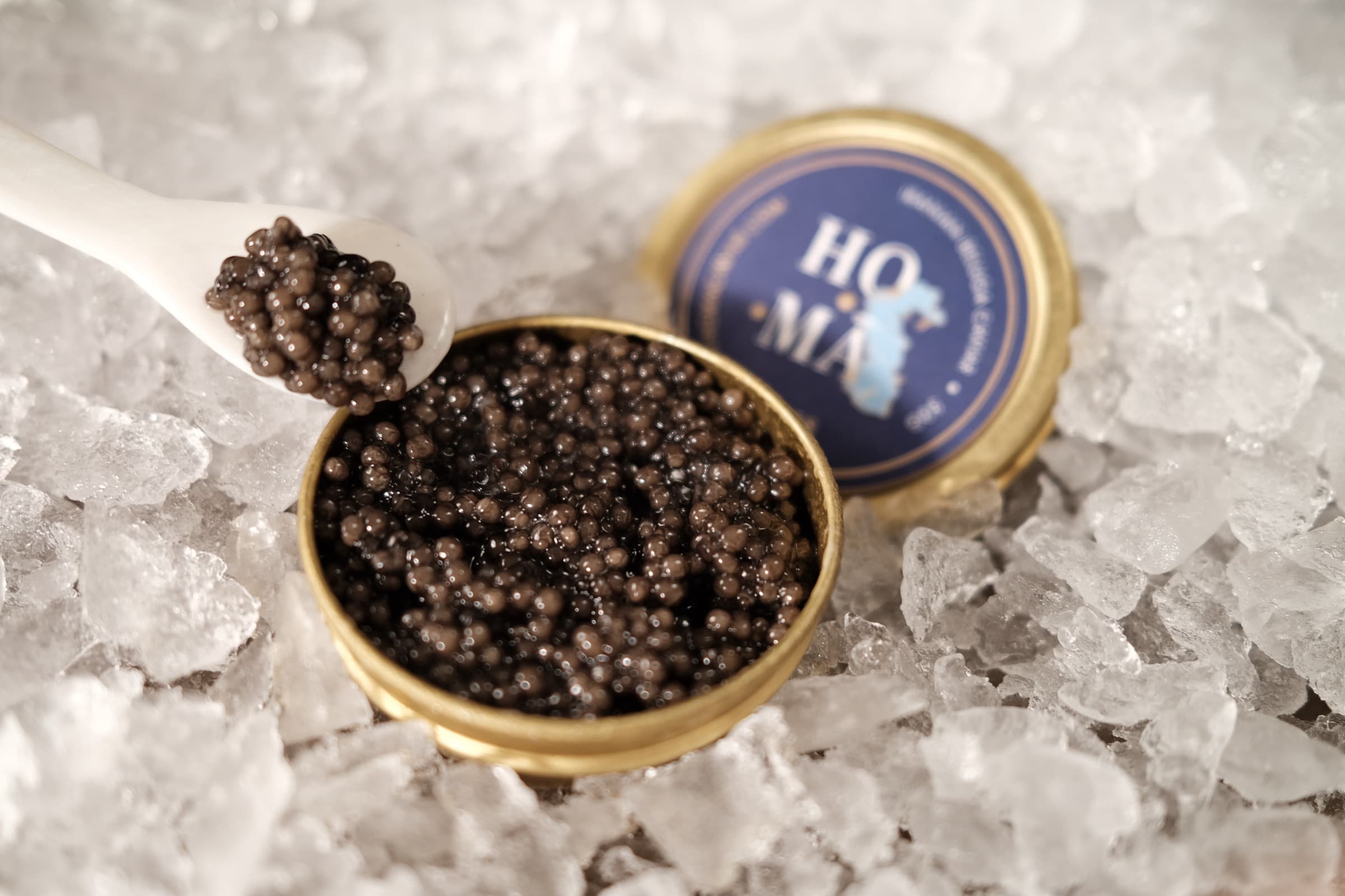 HOMA Beluga caviar tin on ice — authentic Iranian caviar